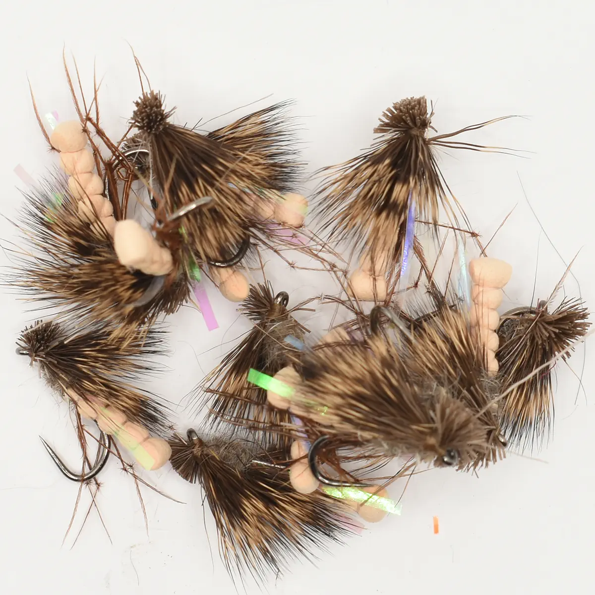 A Dozen Tan UV Daddy Hogs