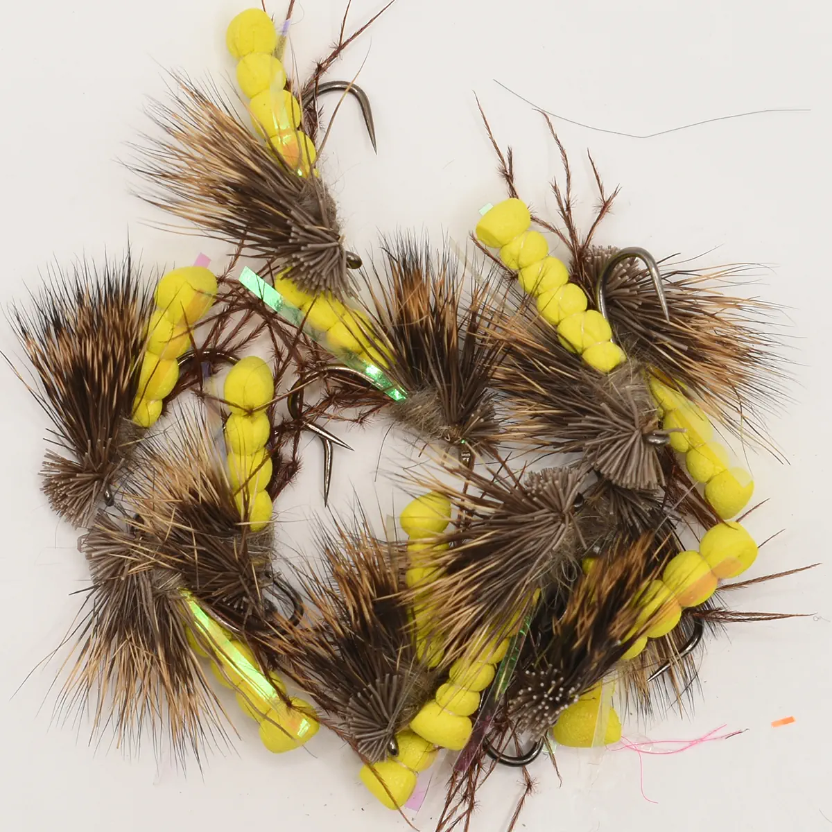 A Dozen Yellow UV Daddy Hogs