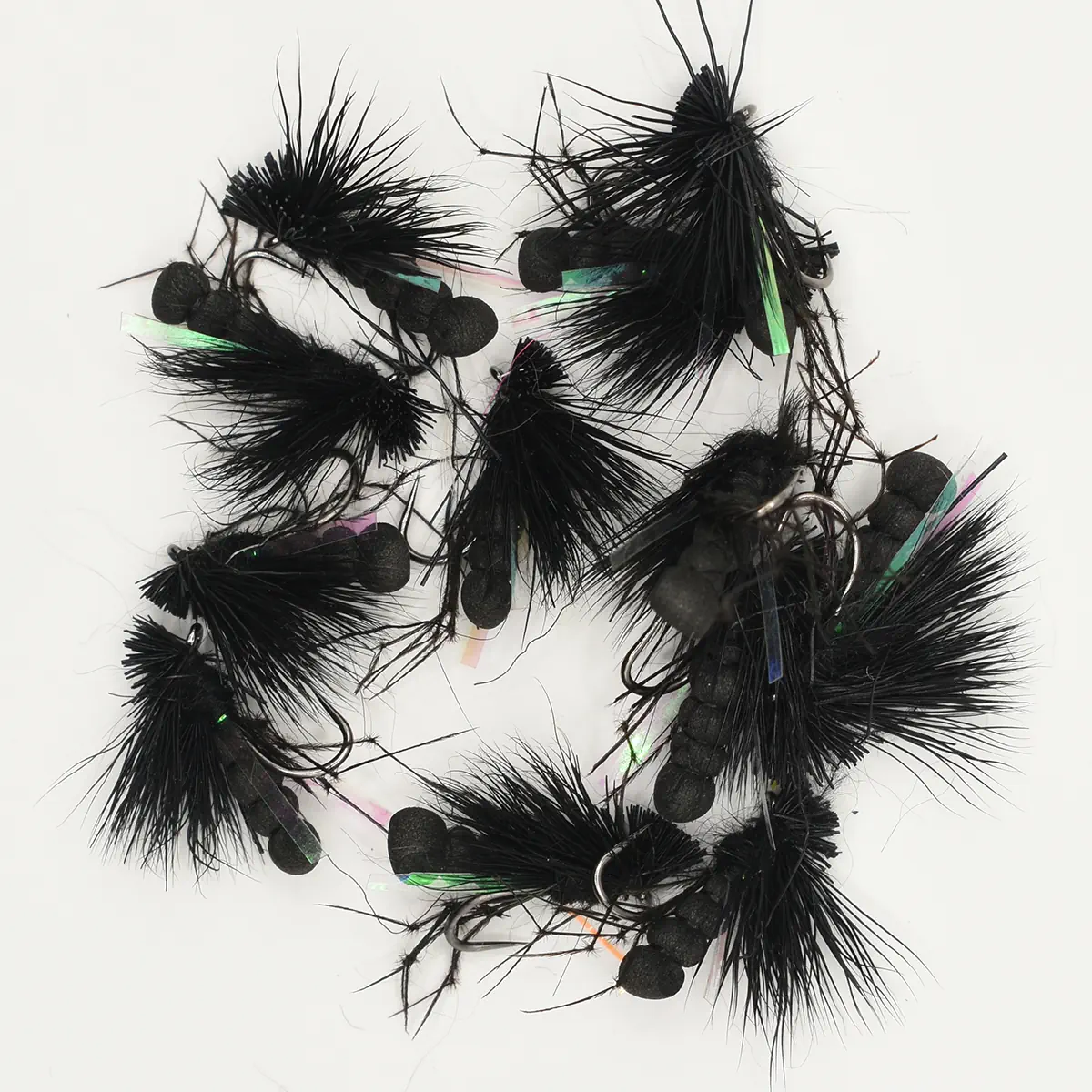 A Dozen Black UV Daddy Hogs