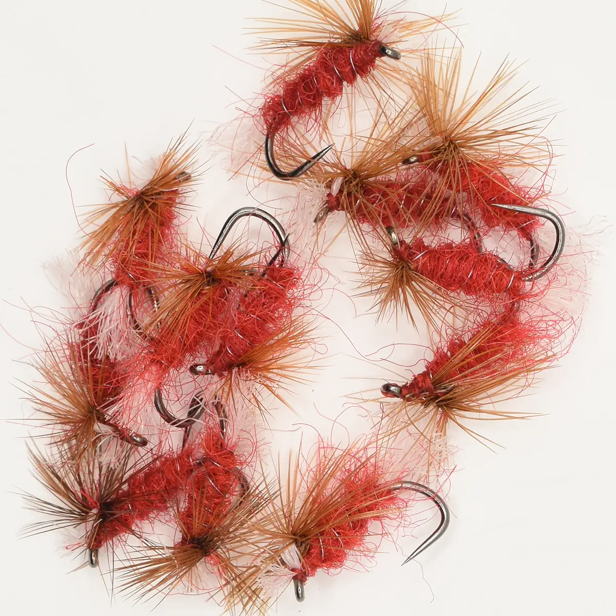 A Dozen Big Red Crippled Midges