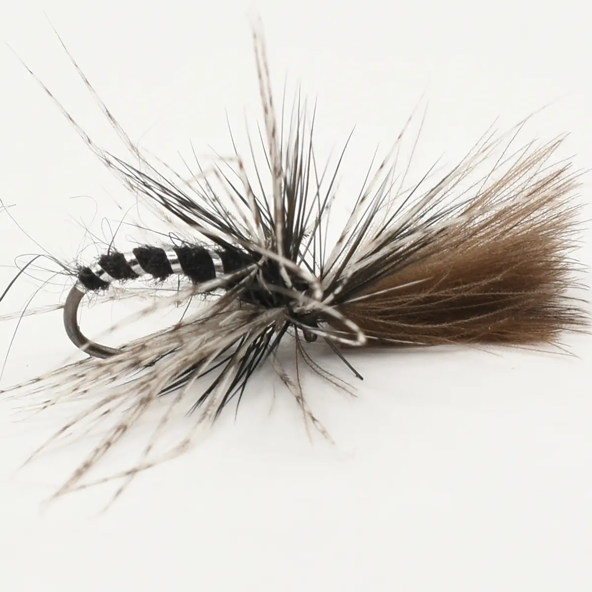 Close-up of a fishing fly with black and brown hackle tied to a curved hook.