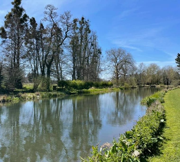 Avington Trout Fisheries29