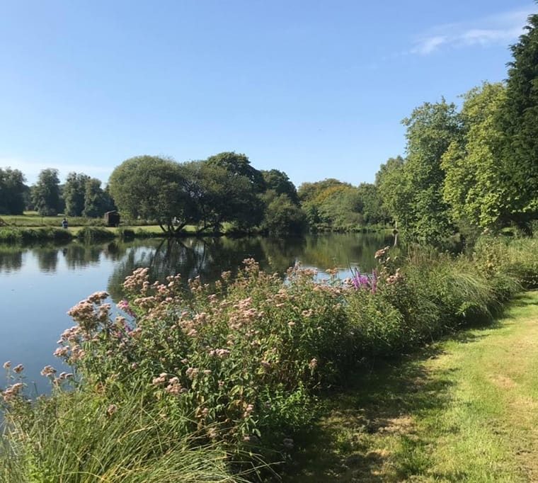 Avington Trout Fisheries30