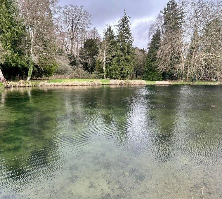 Avington Trout Fisheries31