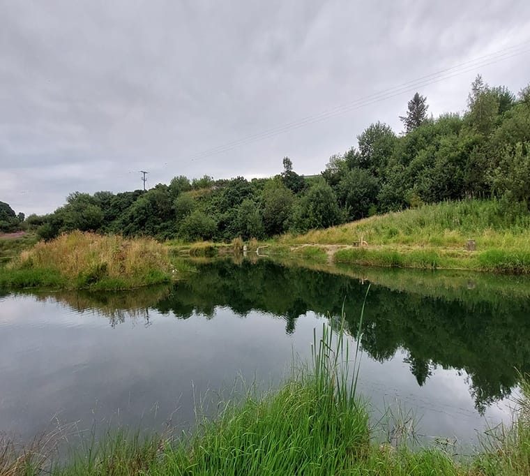 Ballyheather Trout Fishery44