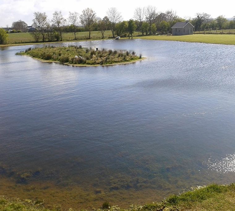 Bann Valley Fishery52
