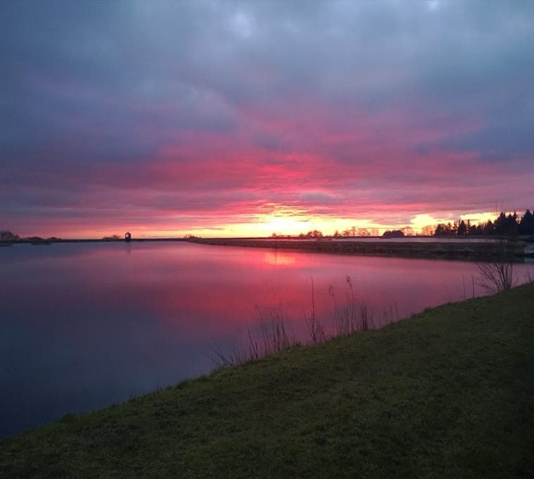Barnsfold Waters Trout Fishery56