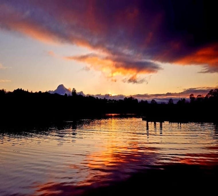 Belston Loch Fishery9
