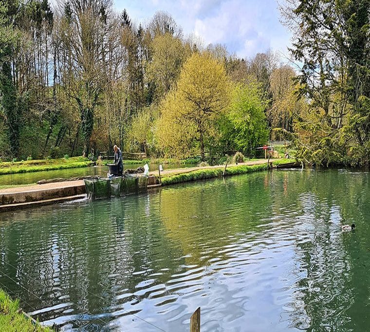 Bibury Trout Farm82
