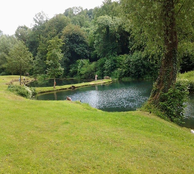 Bigwell Fly Fishery87