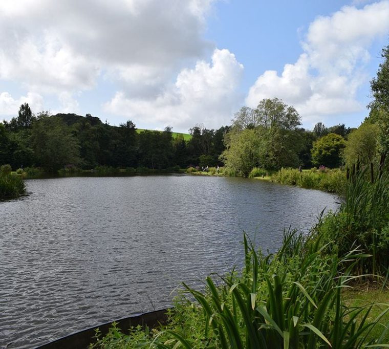 Blakewell Trout Farm 3