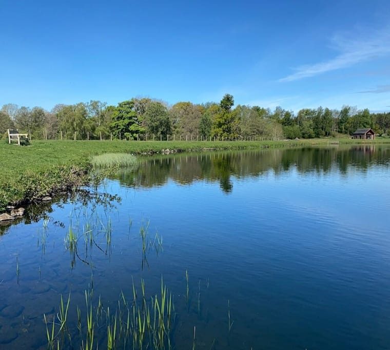 Blencarn Fly Fishing692