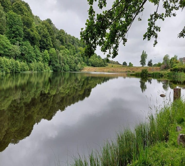 Bowden Springs Fishery73