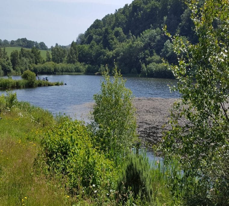 Bowden Springs Fishery75