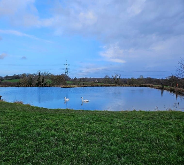 Brick Farm Lakes Trout Fishery109
