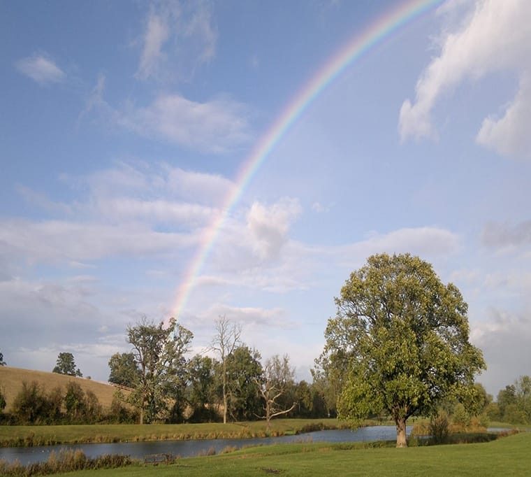 Broad Oak Trout Lakes112