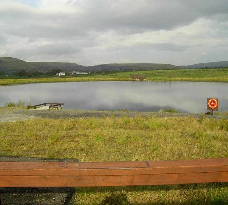 Brynhenllys fishery 115