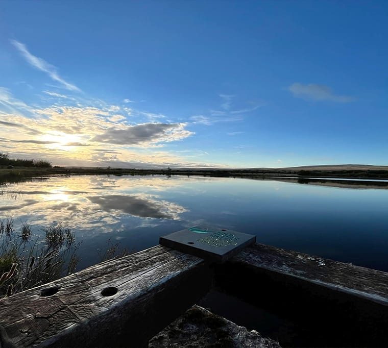 Brynhenllys fishery 118