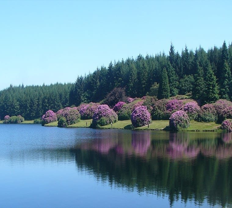 Burrator Reservoir123