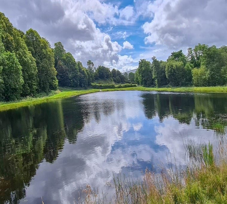 Cashel Lake View Trout Fishery and Bed & Breakfast134