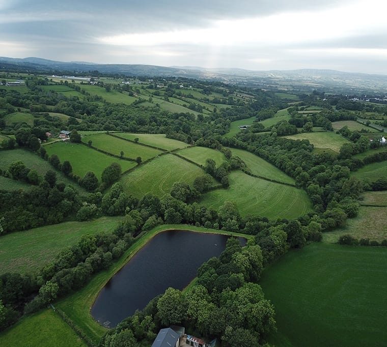 Cashel Lake View Trout Fishery and Bed & Breakfast135