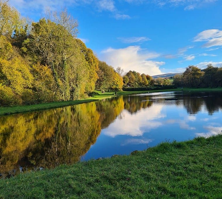 Cashel Lake View Trout Fishery and Bed & Breakfast136