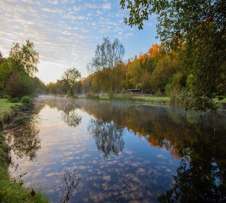 Chalk Springs Trout Fishery138
