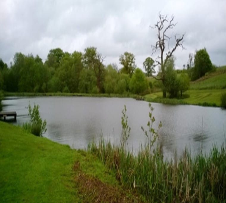 Chalybeate Trout Fishery139