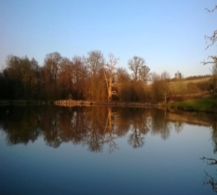 Chalybeate Trout Fishery140