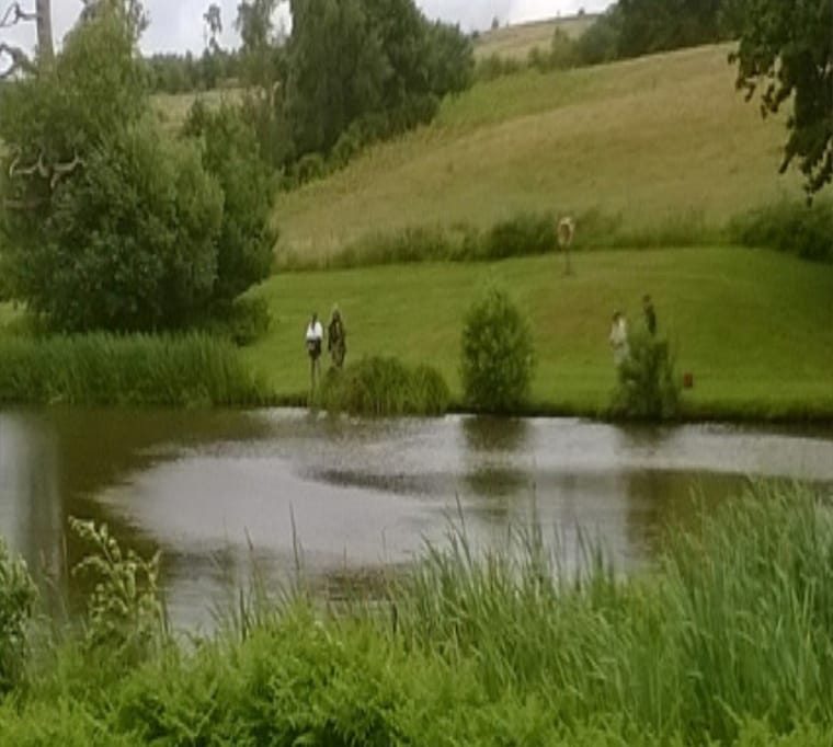 Chalybeate Trout Fishery141