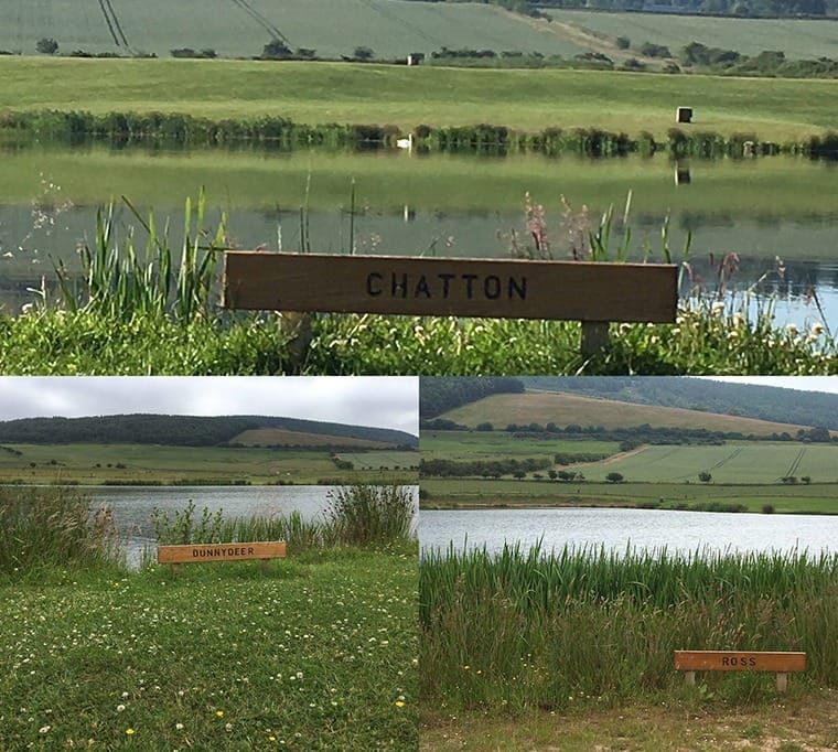 Chatton Trout Fishery142