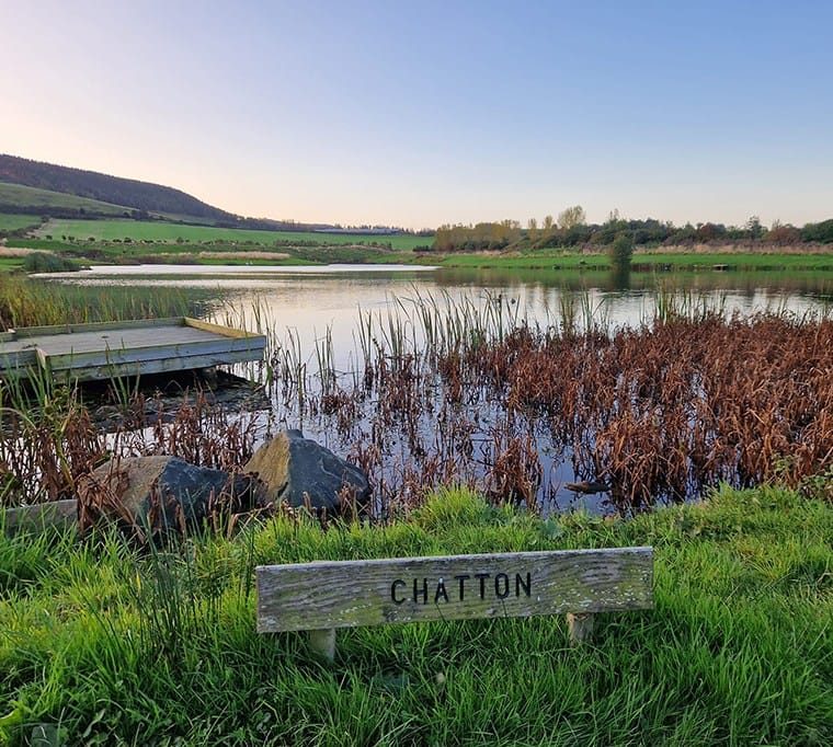 Chatton Trout Fishery144