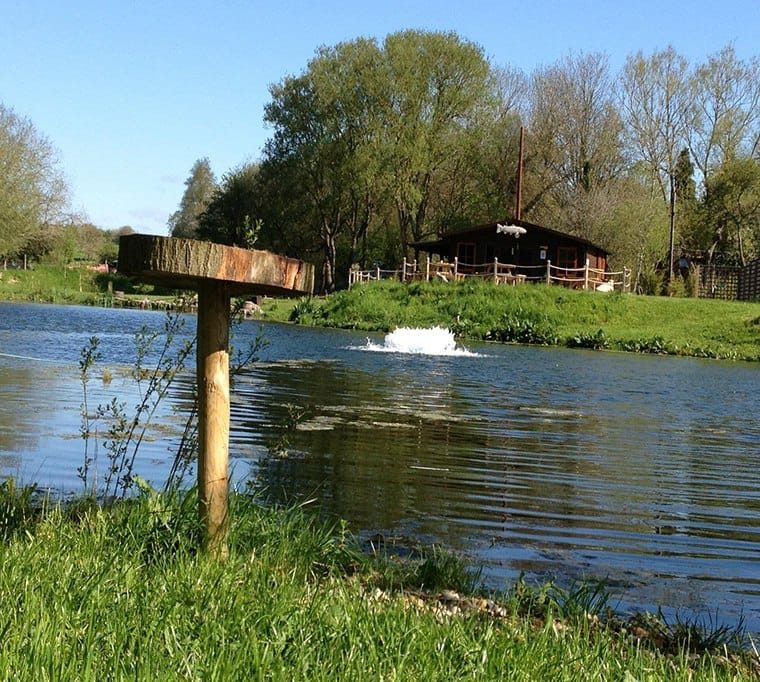 Church Paddock Fishery162