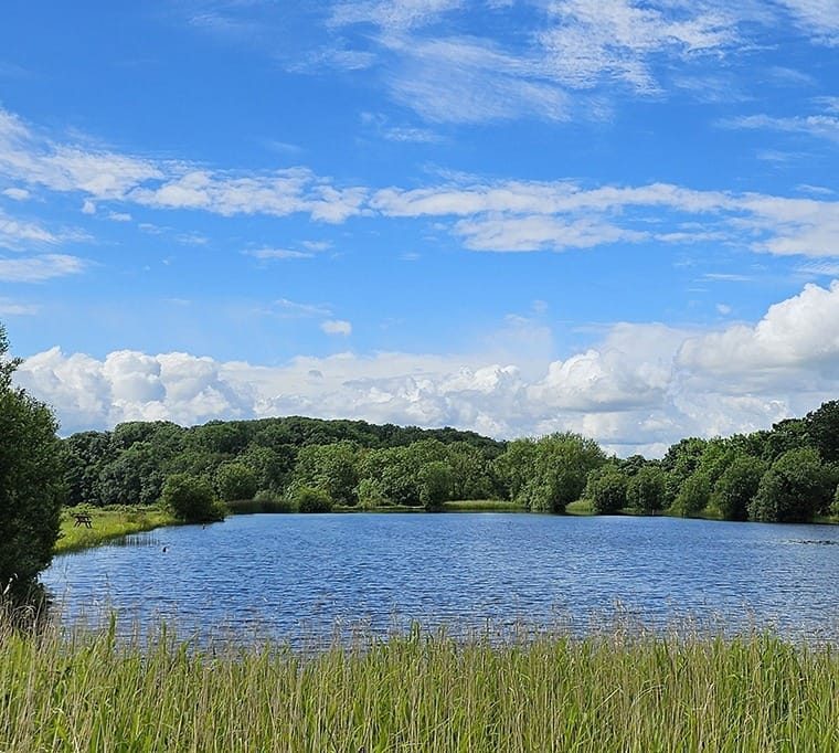 Cleatham Trout Fishery173