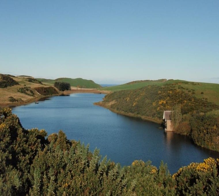 Coldingham Loch Fly Fishery & Holiday Cottages93