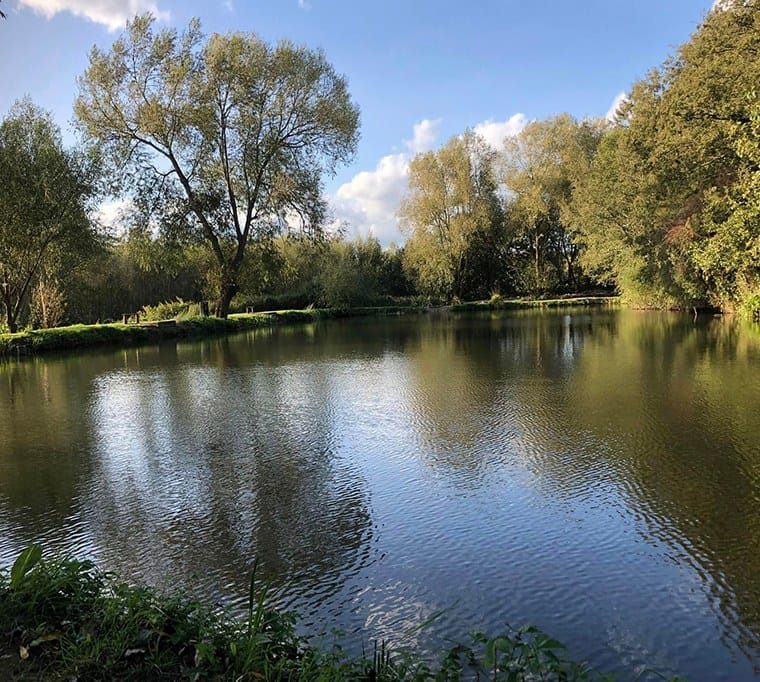 Coltsford Mill Fishery178