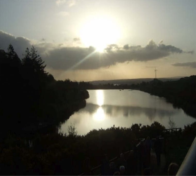 Creggan Country Park184