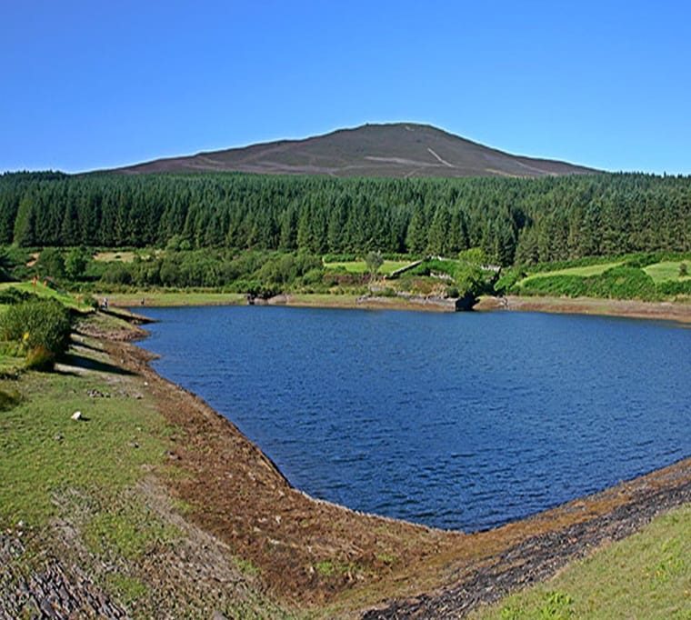 Cringle Reservoir185