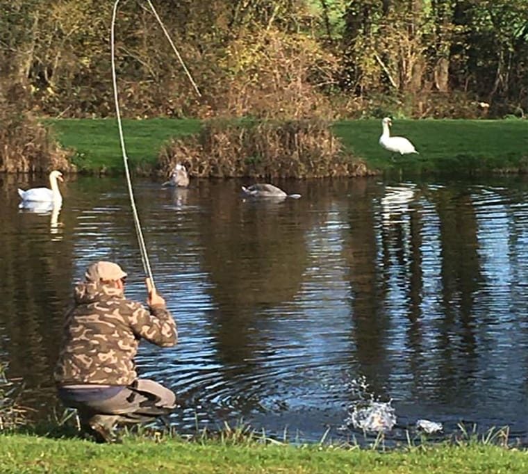 Damerham Trout Fisheries LLP192