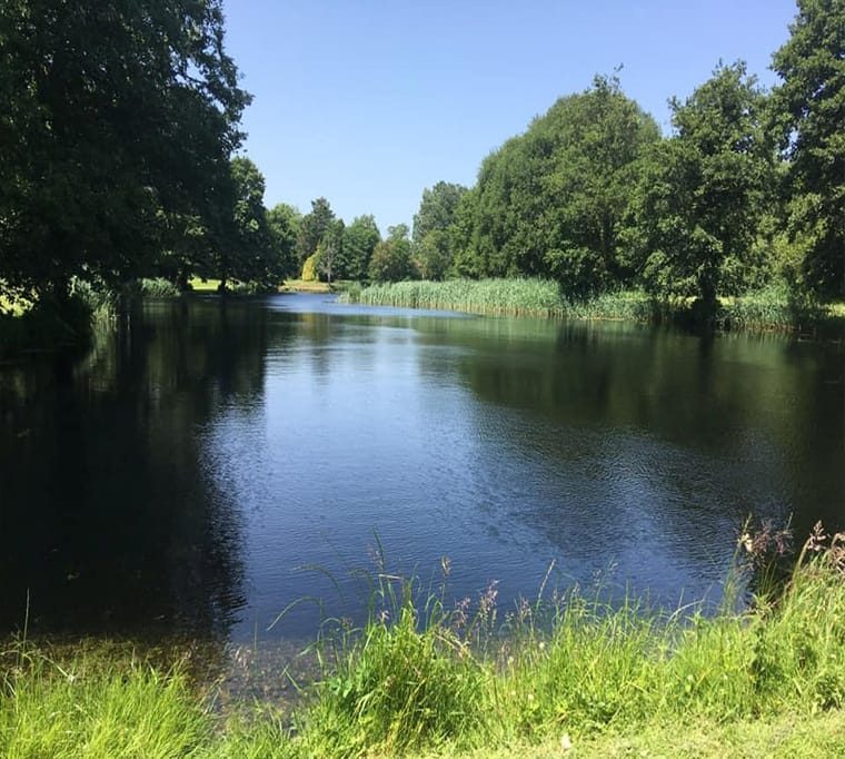 Damerham Trout Fisheries LLP194