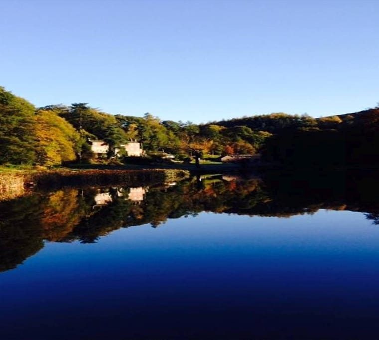 Danebridge Fisheries196