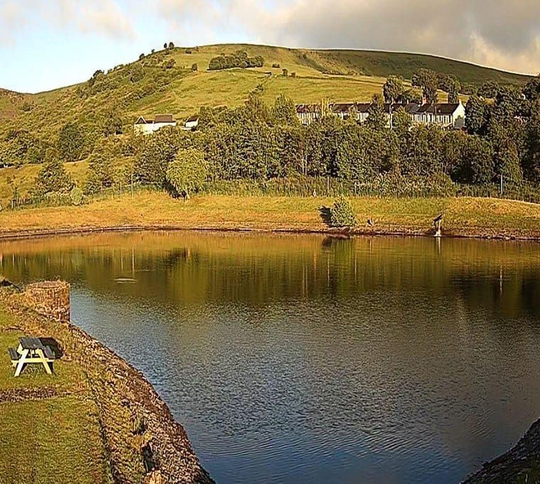 Dare Valley Trout Fishery199