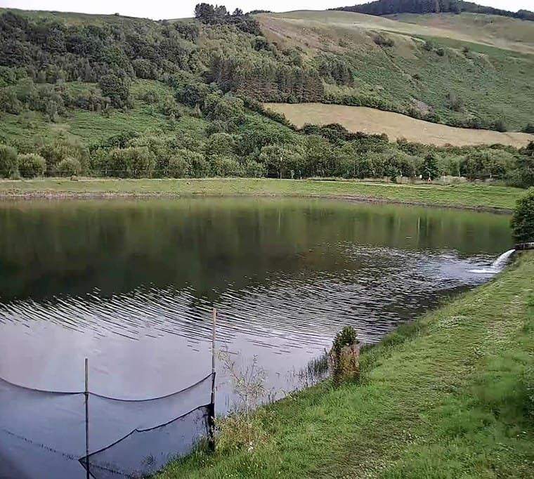 Dare Valley Trout Fishery200