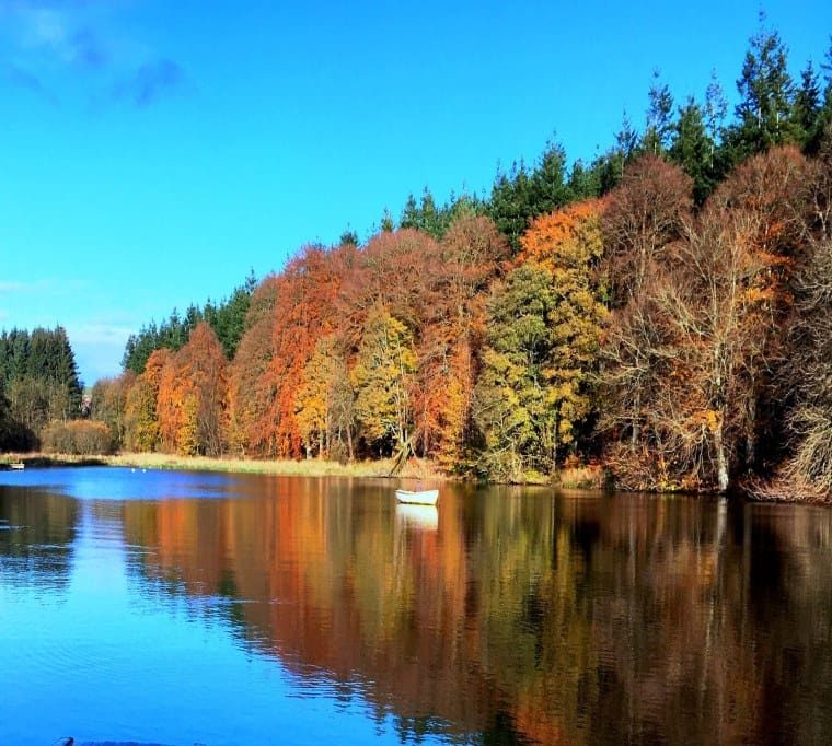 Delgatie Castle Trout Fishery27