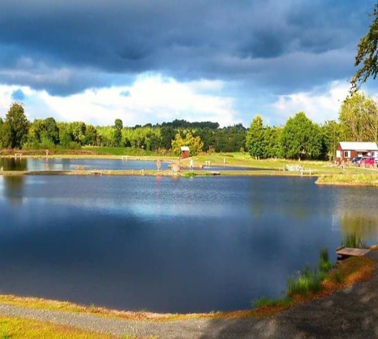 Drumtassie Fishery101