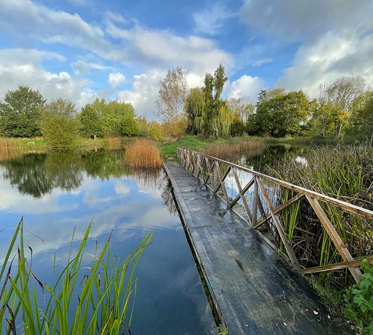 Duncton Mill Trout Fishery208