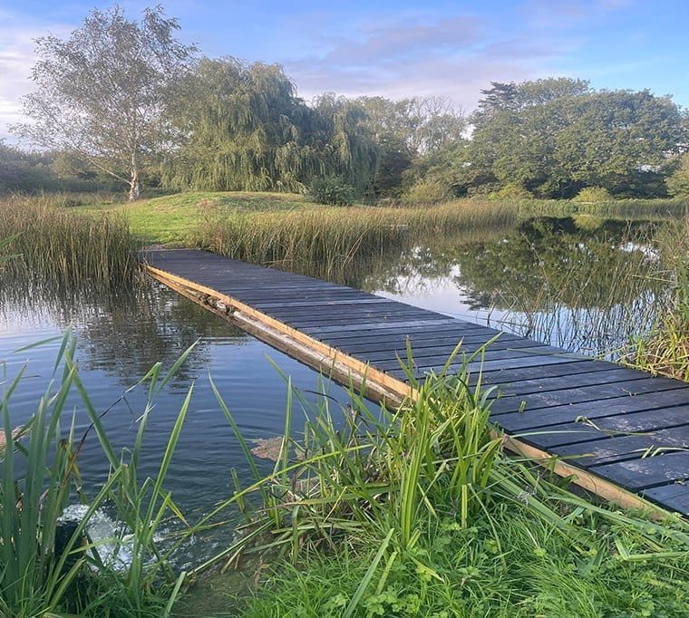 Duncton Mill Trout Fishery209