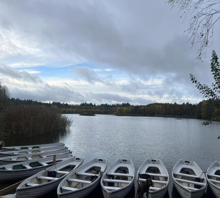 Eden Springs Fishery107