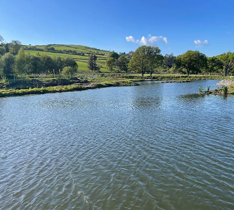 Eisteddfa Fishery & Café211