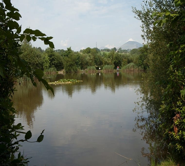 Eisteddfa Fishery & Café212